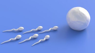 fertilization sperm cells moving female ovum egg blue background 3d illustration 771335 2156