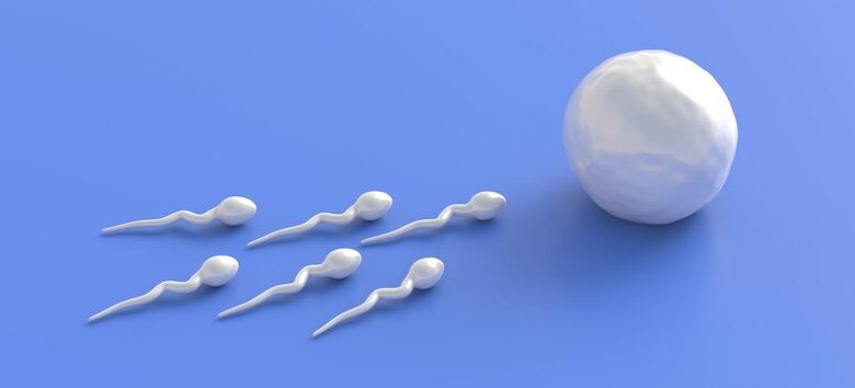 fertilization sperm cells moving female ovum egg blue background 3d illustration 771335 2156