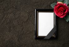 top view picture frame with red flower dark soil 179666 40069