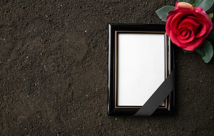 top view picture frame with red flower dark soil 179666 40069